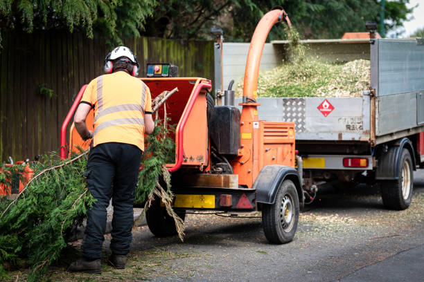 Best Pest Control for Lawns  in West Clarkston Highland, WA